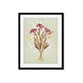 Picture of Dried Flowers with Outline I _GroupedProduct_Rectangle_Portrait_Framed_Matted_