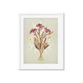 Picture of Dried Flowers with Outline I _GroupedProduct_Rectangle_Portrait_Framed_Matted_