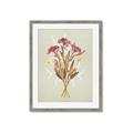 Picture of Dried Flowers with Outline I _GroupedProduct_Rectangle_Portrait_Framed_Matted_