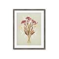 Picture of Dried Flowers with Outline I _GroupedProduct_Rectangle_Portrait_Framed_Matted_