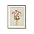 Picture of Dried Flowers with Outline I _GroupedProduct_Rectangle_Portrait_Framed_Matted_