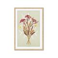 Picture of Dried Flowers with Outline I _GroupedProduct_Rectangle_Portrait_Framed_Matted_