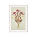 Picture of Dried Flowers with Outline I _GroupedProduct_Rectangle_Portrait_Framed_Matted_