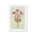 Picture of Dried Flowers with Outline I _GroupedProduct_Rectangle_Portrait_Framed_Matted_