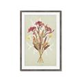 Picture of Dried Flowers with Outline I _GroupedProduct_Rectangle_Portrait_Framed_Matted_