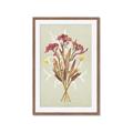 Picture of Dried Flowers with Outline I _GroupedProduct_Rectangle_Portrait_Framed_Matted_