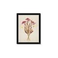 Picture of Dried Flowers I  _GroupedProduct_Rectangle_Portrait_Framed_Matted_
