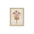 Picture of Dried Flowers I  _GroupedProduct_Rectangle_Portrait_Framed_Matted_