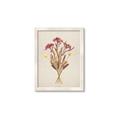 Picture of Dried Flowers I  _GroupedProduct_Rectangle_Portrait_Framed_Matted_