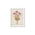 Picture of Dried Flowers I  _GroupedProduct_Rectangle_Portrait_Framed_Matted_
