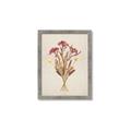 Picture of Dried Flowers I  _GroupedProduct_Rectangle_Portrait_Framed_Matted_