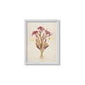 Picture of Dried Flowers I  _GroupedProduct_Rectangle_Portrait_Framed_Matted_
