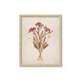 Picture of Dried Flowers I  _GroupedProduct_Rectangle_Portrait_Framed_Matted_
