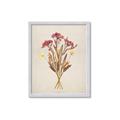 Picture of Dried Flowers I  _GroupedProduct_Rectangle_Portrait_Framed_Matted_