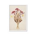Picture of Dried Flowers I  _GroupedProduct_Rectangle_Portrait_Framed_Matted_