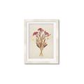 Picture of Dried Flowers I  _GroupedProduct_Rectangle_Portrait_Framed_Matted_