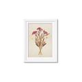 Picture of Dried Flowers I  _GroupedProduct_Rectangle_Portrait_Framed_Matted_
