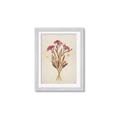 Picture of Dried Flowers I  _GroupedProduct_Rectangle_Portrait_Framed_Matted_