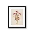 Picture of Dried Flowers I  _GroupedProduct_Rectangle_Portrait_Framed_Matted_
