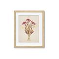 Picture of Dried Flowers I  _GroupedProduct_Rectangle_Portrait_Framed_Matted_