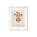 Picture of Dried Flowers I  _GroupedProduct_Rectangle_Portrait_Framed_Matted_
