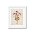 Picture of Dried Flowers I  _GroupedProduct_Rectangle_Portrait_Framed_Matted_
