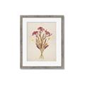 Picture of Dried Flowers I  _GroupedProduct_Rectangle_Portrait_Framed_Matted_