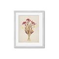 Picture of Dried Flowers I  _GroupedProduct_Rectangle_Portrait_Framed_Matted_