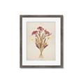 Picture of Dried Flowers I  _GroupedProduct_Rectangle_Portrait_Framed_Matted_