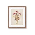 Picture of Dried Flowers I  _GroupedProduct_Rectangle_Portrait_Framed_Matted_