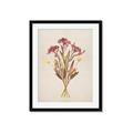 Picture of Dried Flowers I  _GroupedProduct_Rectangle_Portrait_Framed_Matted_