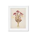 Picture of Dried Flowers I  _GroupedProduct_Rectangle_Portrait_Framed_Matted_