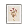 Picture of Dried Flowers I  _GroupedProduct_Rectangle_Portrait_Framed_Matted_