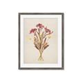 Picture of Dried Flowers I  _GroupedProduct_Rectangle_Portrait_Framed_Matted_