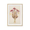 Picture of Dried Flowers I  _GroupedProduct_Rectangle_Portrait_Framed_Matted_