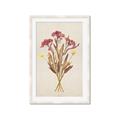 Picture of Dried Flowers I  _GroupedProduct_Rectangle_Portrait_Framed_Matted_
