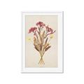 Picture of Dried Flowers I  _GroupedProduct_Rectangle_Portrait_Framed_Matted_