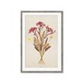 Picture of Dried Flowers I  _GroupedProduct_Rectangle_Portrait_Framed_Matted_