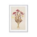 Picture of Dried Flowers I  _GroupedProduct_Rectangle_Portrait_Framed_Matted_
