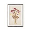Picture of Dried Flowers I  _GroupedProduct_Rectangle_Portrait_Framed_Matted_