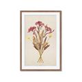Picture of Dried Flowers I  _GroupedProduct_Rectangle_Portrait_Framed_Matted_