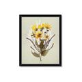 Picture of Dried Flowers with Outline II  _GroupedProduct_Rectangle_Portrait_Framed_Matted_