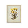 Picture of Dried Flowers with Outline II  _GroupedProduct_Rectangle_Portrait_Framed_Matted_