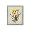 Picture of Dried Flowers with Outline II  _GroupedProduct_Rectangle_Portrait_Framed_Matted_
