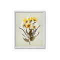 Picture of Dried Flowers with Outline II  _GroupedProduct_Rectangle_Portrait_Framed_Matted_