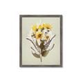 Picture of Dried Flowers with Outline II  _GroupedProduct_Rectangle_Portrait_Framed_Matted_