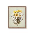 Picture of Dried Flowers with Outline II  _GroupedProduct_Rectangle_Portrait_Framed_Matted_
