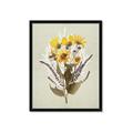 Picture of Dried Flowers with Outline II  _GroupedProduct_Rectangle_Portrait_Framed_Matted_