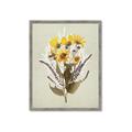 Picture of Dried Flowers with Outline II  _GroupedProduct_Rectangle_Portrait_Framed_Matted_
