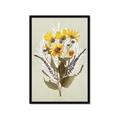 Picture of Dried Flowers with Outline II  _GroupedProduct_Rectangle_Portrait_Framed_Matted_